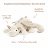 Beschützerdrache Wolken