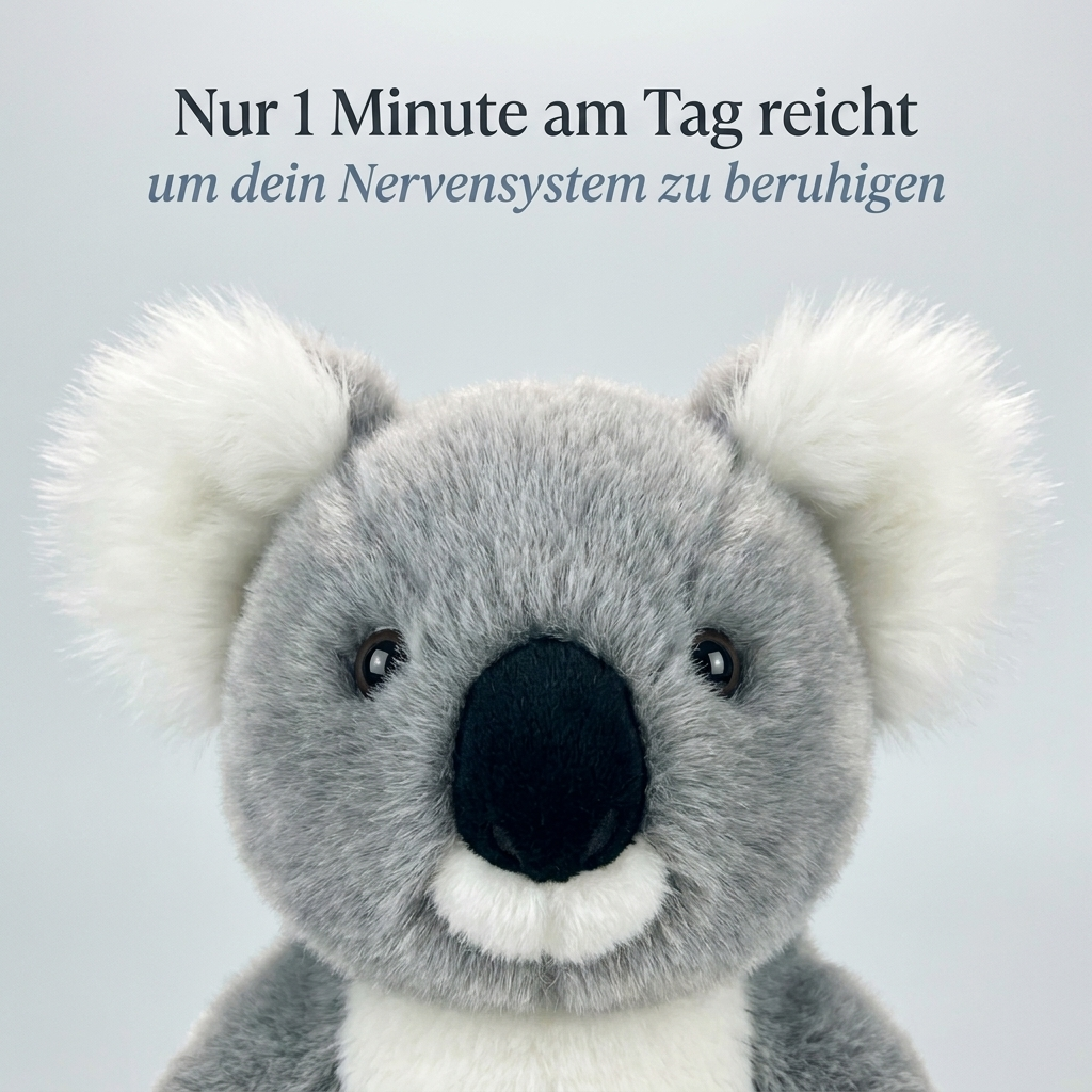 Kuschelfreund Koala