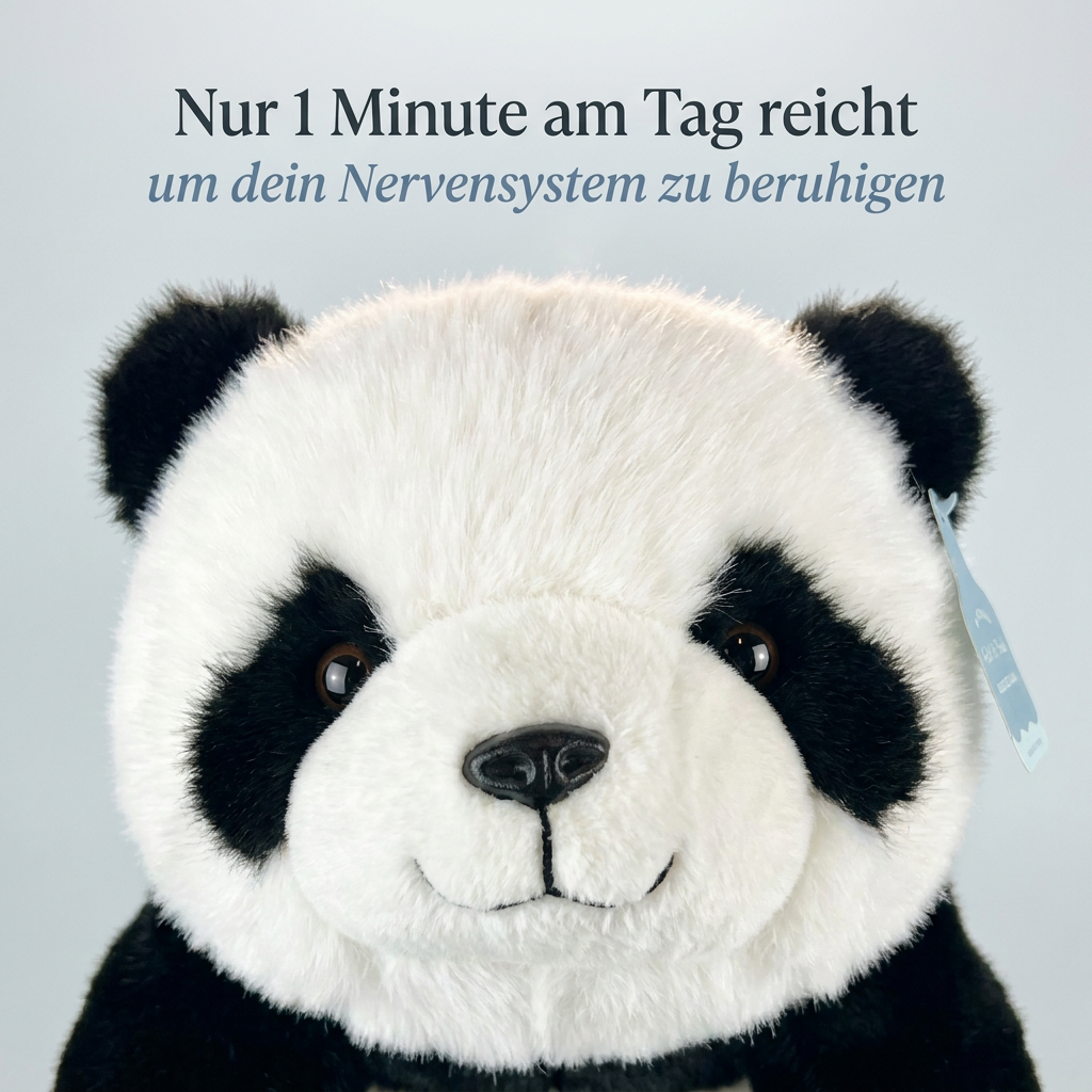 Kuschelfreund Panda
